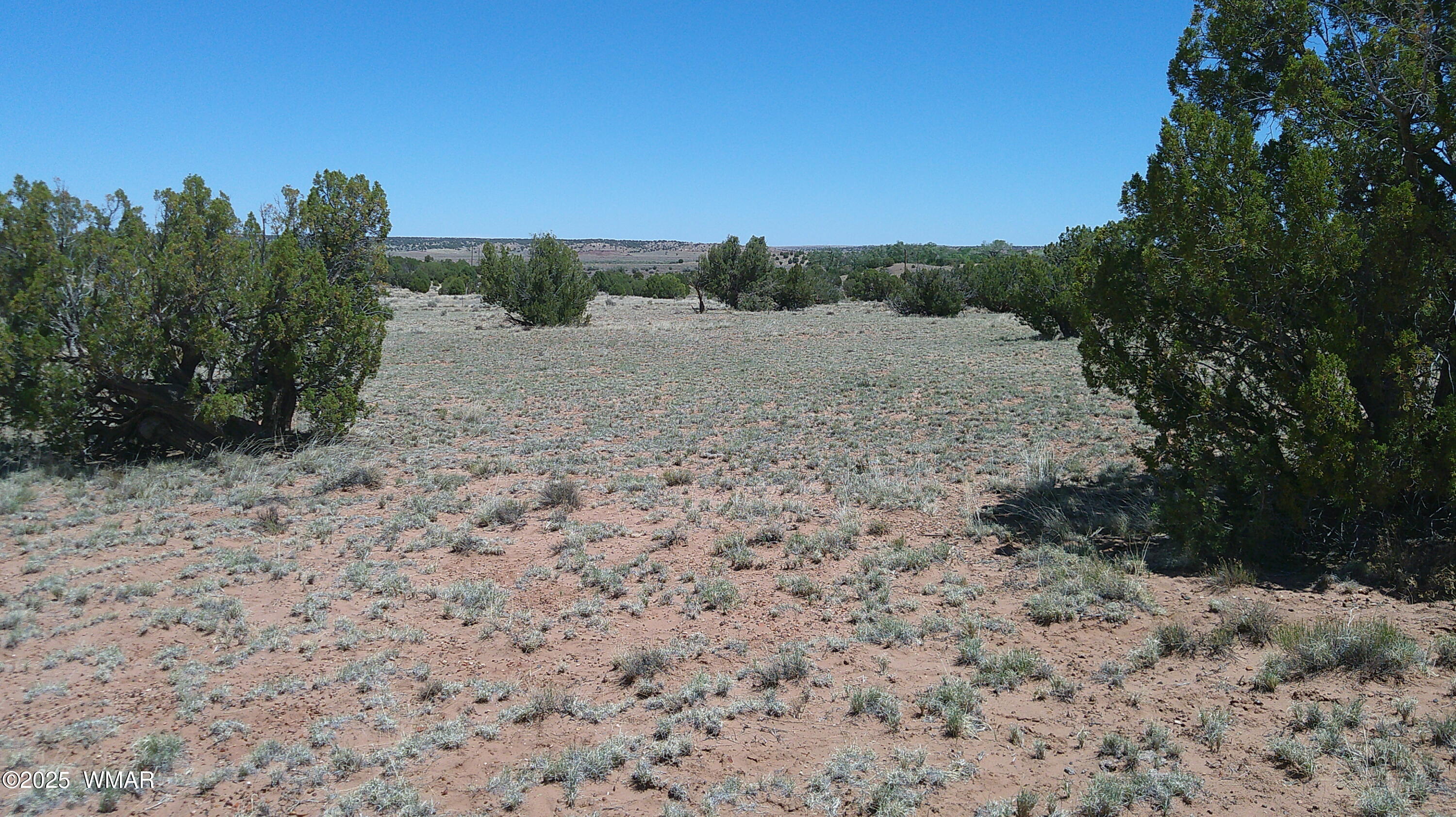 Tbd Tbd Rio Ranch Concho, AZ 85924 - Photo 31 of 44 DSCF0047