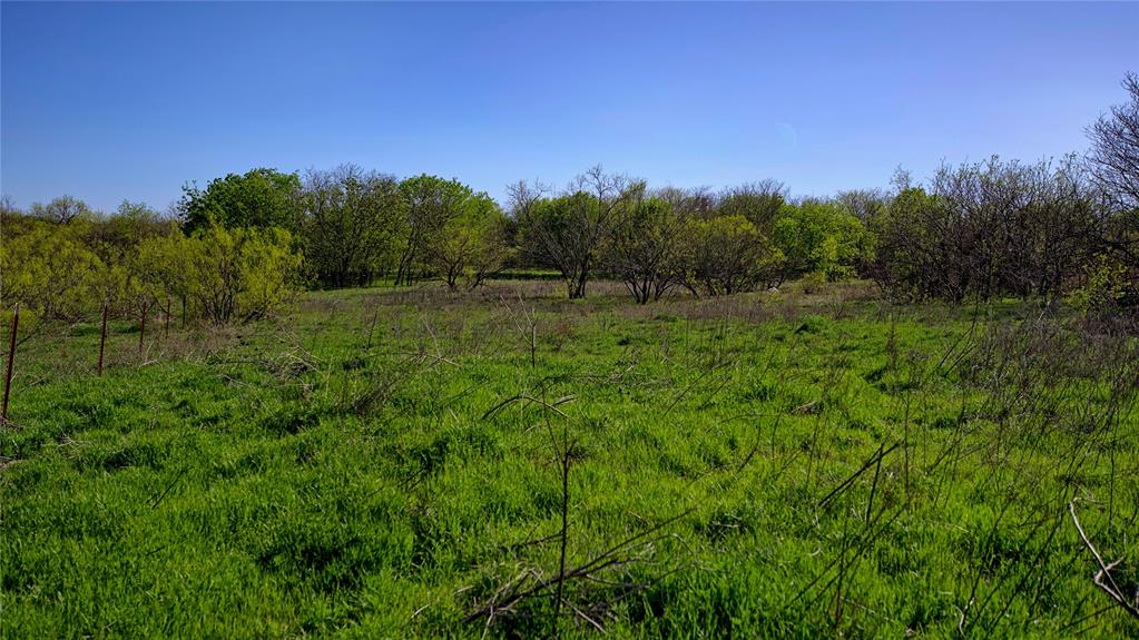 437 Moody Road Ringgold, TX 76261 - Photo 11 of 29