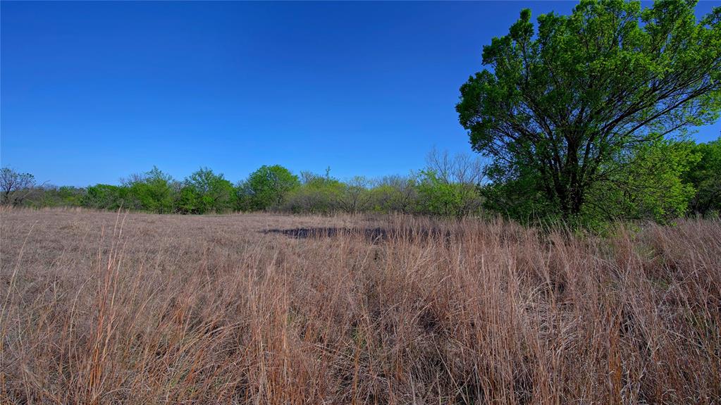 437 Moody Road Ringgold, TX 76261 - Photo 3 of 29