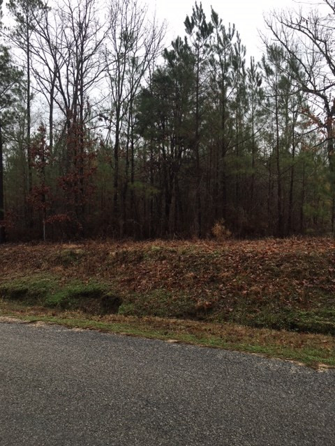 309 Rose Hill Road Mendenhall, MS 39114 - Photo 2 of 7 Photo 2