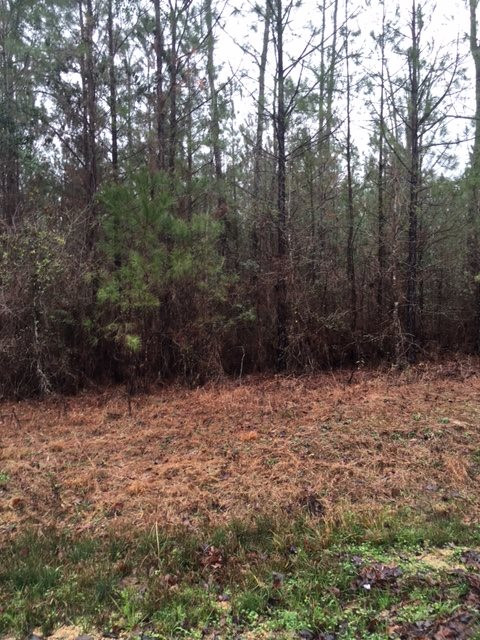 309 Rose Hill Road Mendenhall, MS 39114 - Photo 4 of 7 Photo 5