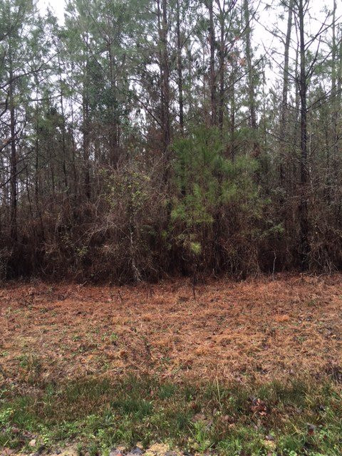 309 Rose Hill Road Mendenhall, MS 39114 - Photo 5 of 7 Photo 6