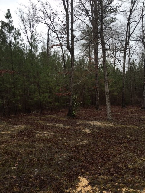 309 Rose Hill Road Mendenhall, MS 39114 - Photo 6 of 7 Photo 7