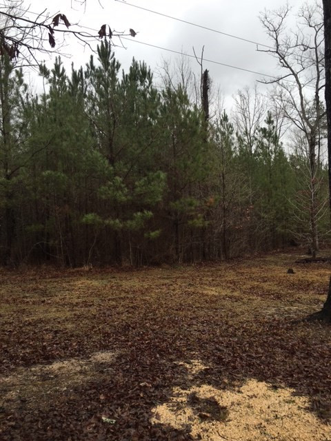 309 Rose Hill Road Mendenhall, MS 39114 - Photo 7 of 7 Photo 8
