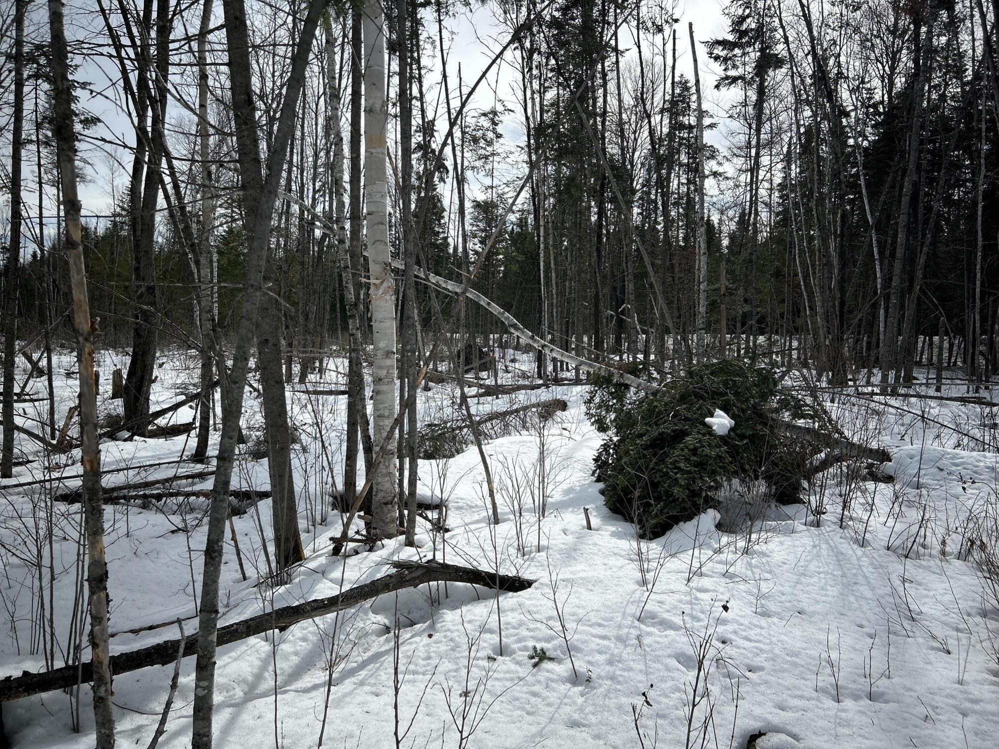 0 East Jemtland Road Caribou, ME 04736 - Photo 7 of 23 IMG_6896