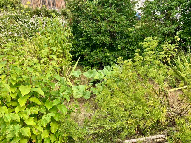 $250,000 | 26 Minard Hill Road, Groton, VT 05046