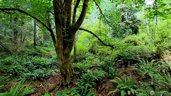 $225,000 | 1-nsn Smith Lane, Quilcene, WA 98376