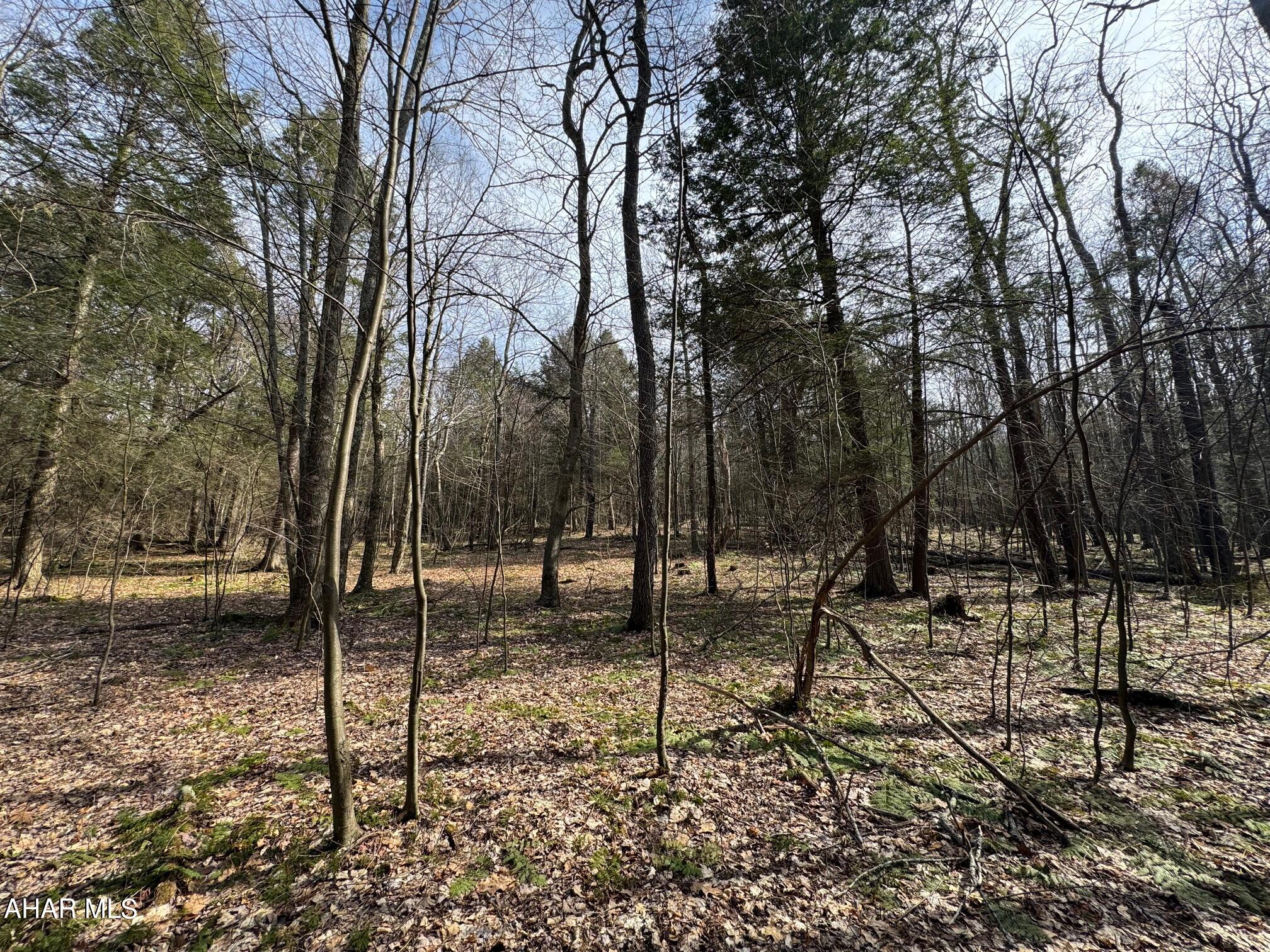 Off Pine Valley Road Fairhope, PA 15538 - Photo 21 of 34