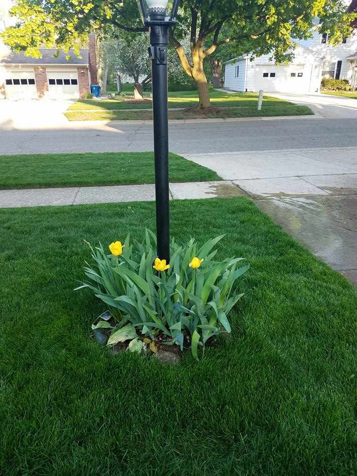 Welcoming Lamp Post