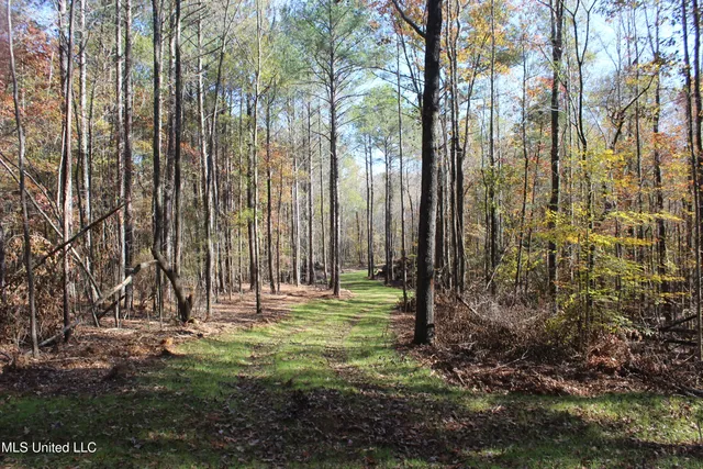 $570,000 | 2000 Highway 35 West Ms 39192, West, MS 39192