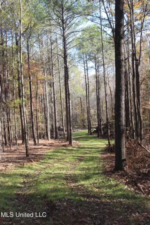 $539,370 | 2000 Highway 35 West Ms 39192, West, MS 39192
