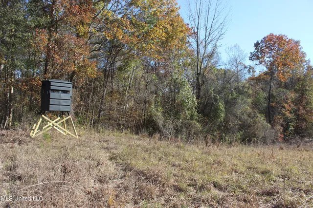 $570,000 | 2000 Highway 35 West Ms 39192, West, MS 39192