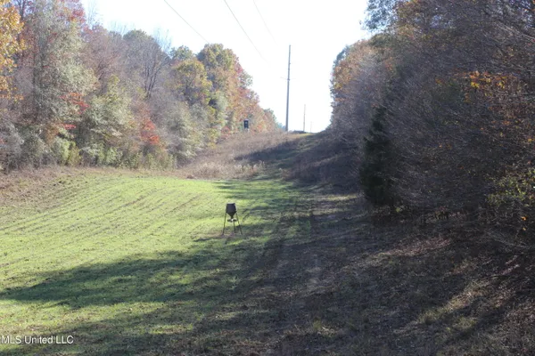 $539,370 | 2000 Highway 35 West Ms 39192, West, MS 39192