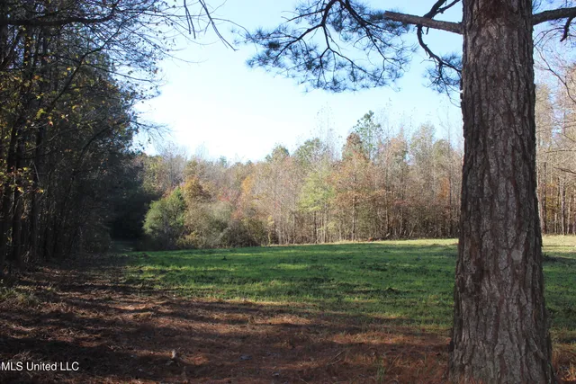 $570,000 | 2000 Highway 35 West Ms 39192, West, MS 39192