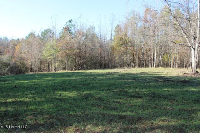 $570,000 | 2000 Highway 35 West Ms 39192, West, MS 39192