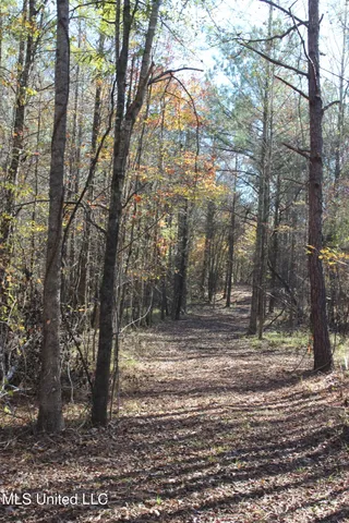 $570,000 | 2000 Highway 35 West Ms 39192, West, MS 39192