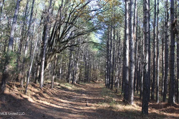 $539,370 | 2000 Highway 35 West Ms 39192, West, MS 39192