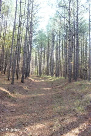 $539,370 | 2000 Highway 35 West Ms 39192, West, MS 39192