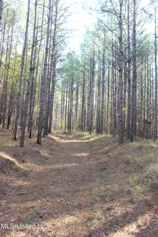 $570,000 | 2000 Highway 35 West Ms 39192, West, MS 39192