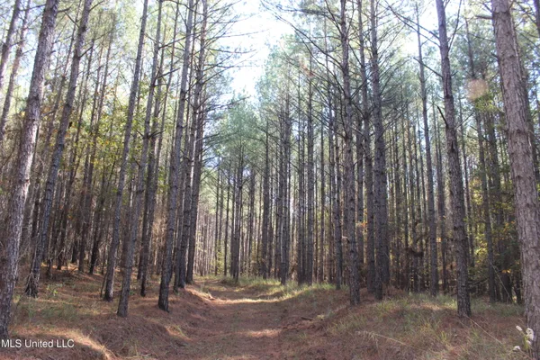 $539,370 | 2000 Highway 35 West Ms 39192, West, MS 39192