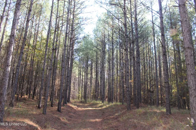 $570,000 | 2000 Highway 35 West Ms 39192, West, MS 39192