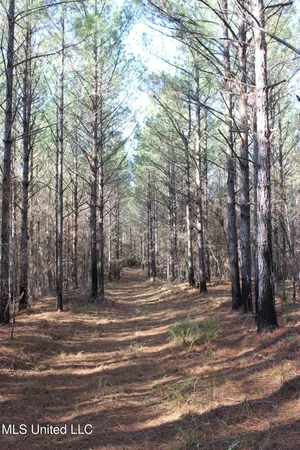 $539,370 | 2000 Highway 35 West Ms 39192, West, MS 39192