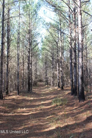 $570,000 | 2000 Highway 35 West Ms 39192, West, MS 39192