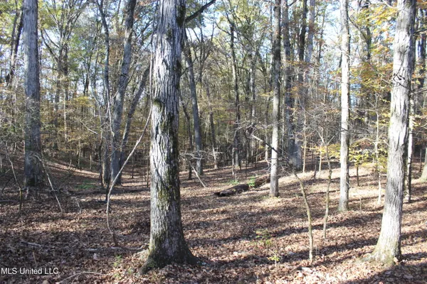 $539,370 | 2000 Highway 35 West Ms 39192, West, MS 39192
