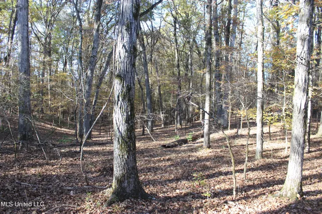 $570,000 | 2000 Highway 35 West Ms 39192, West, MS 39192