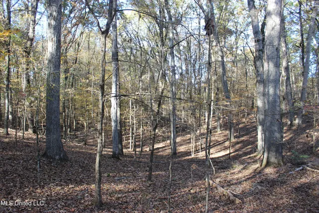 $570,000 | 2000 Highway 35 West Ms 39192, West, MS 39192