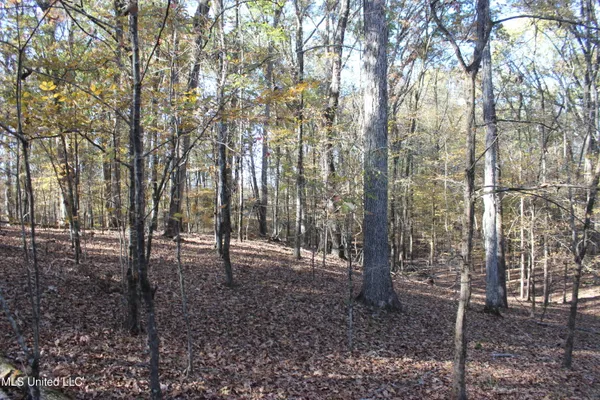 $539,370 | 2000 Highway 35 West Ms 39192, West, MS 39192