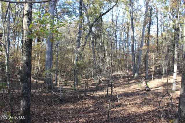 $570,000 | 2000 Highway 35 West Ms 39192, West, MS 39192