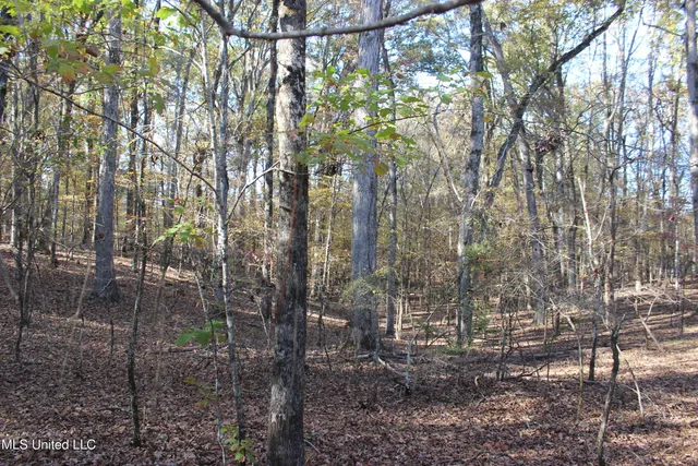 $570,000 | 2000 Highway 35 West Ms 39192, West, MS 39192