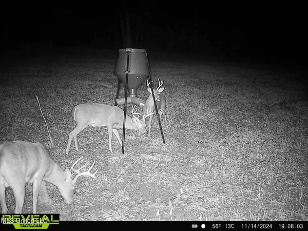 $539,370 | 2000 Highway 35 West Ms 39192, West, MS 39192