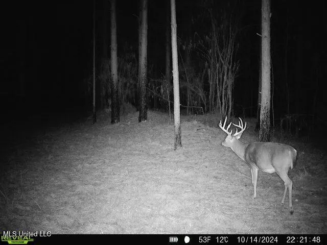 $570,000 | 2000 Highway 35 West Ms 39192, West, MS 39192