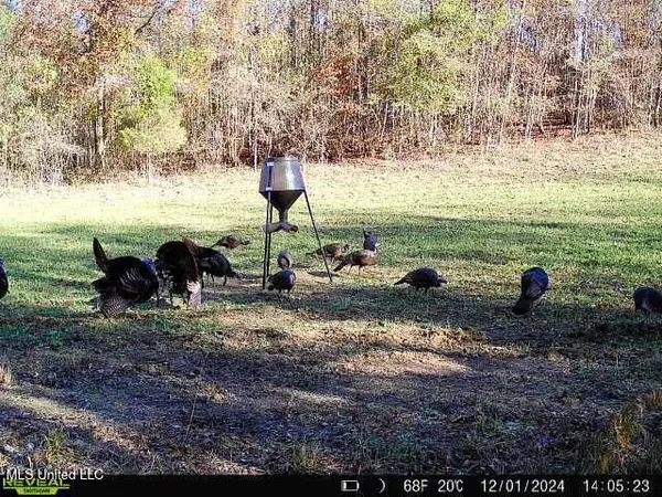 $539,370 | 2000 Highway 35 West Ms 39192, West, MS 39192