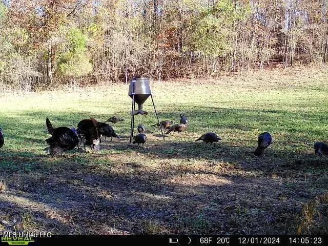 $570,000 | 2000 Highway 35 West Ms 39192, West, MS 39192