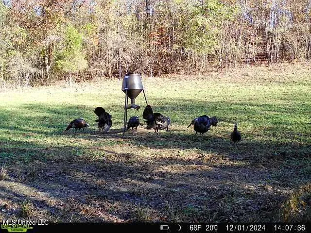 $570,000 | 2000 Highway 35 West Ms 39192, West, MS 39192