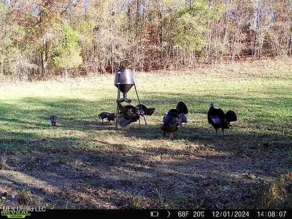 $539,370 | 2000 Highway 35 West Ms 39192, West, MS 39192