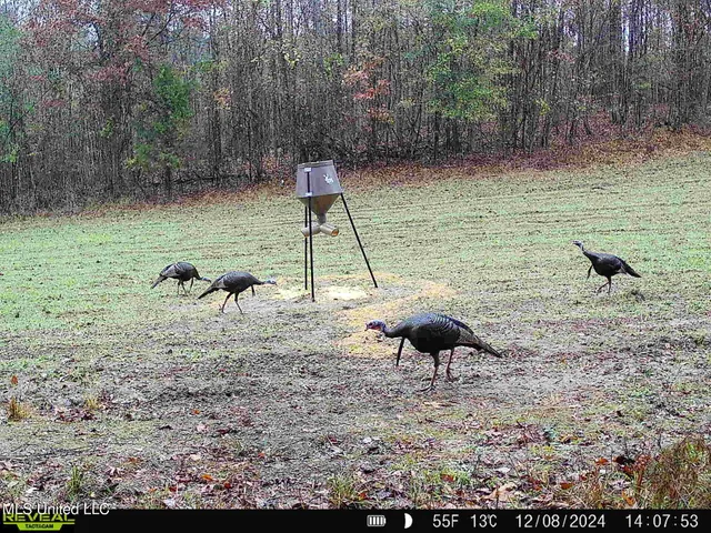 $570,000 | 2000 Highway 35 West Ms 39192, West, MS 39192