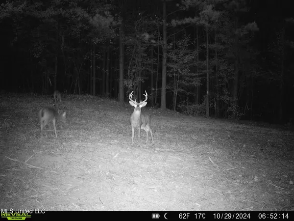 $539,370 | 2000 Highway 35 West Ms 39192, West, MS 39192