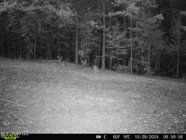 $570,000 | 2000 Highway 35 West Ms 39192, West, MS 39192