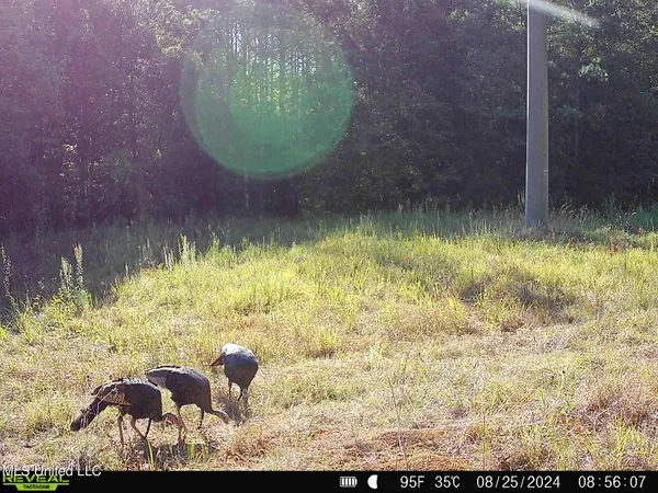 $539,370 | 2000 Highway 35 West Ms 39192, West, MS 39192