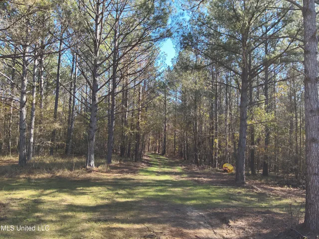 $570,000 | 2000 Highway 35 West Ms 39192, West, MS 39192