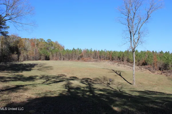 $539,370 | 2000 Highway 35 West Ms 39192, West, MS 39192