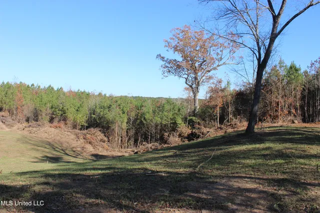 $570,000 | 2000 Highway 35 West Ms 39192, West, MS 39192