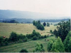 0 Cole Hollow Road, Unit LOTS 3 & Elizabethton, TN 37643 - Photo 1 of 4 Photo 1