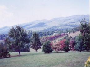 0 Cole Hollow Road, Unit LOTS 3 & Elizabethton, TN 37643 - Photo 2 of 4 Photo 2