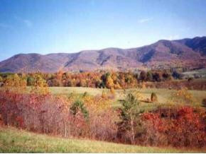 0 Cole Hollow Road, Unit LOTS 3 & Elizabethton, TN 37643 - Photo 3 of 4 Photo 3