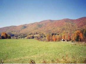 0 Cole Hollow Road, Unit LOTS 3 & Elizabethton, TN 37643 - Photo 4 of 4 Photo 4